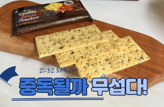  중독될까 무섭다...코스트코 간식 추천템 최애 과자 추천 TOP3