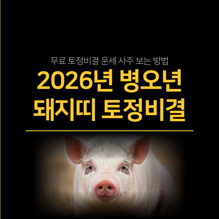  2026년 병오년 돼지띠 토정비결 - 무료 사주 운세