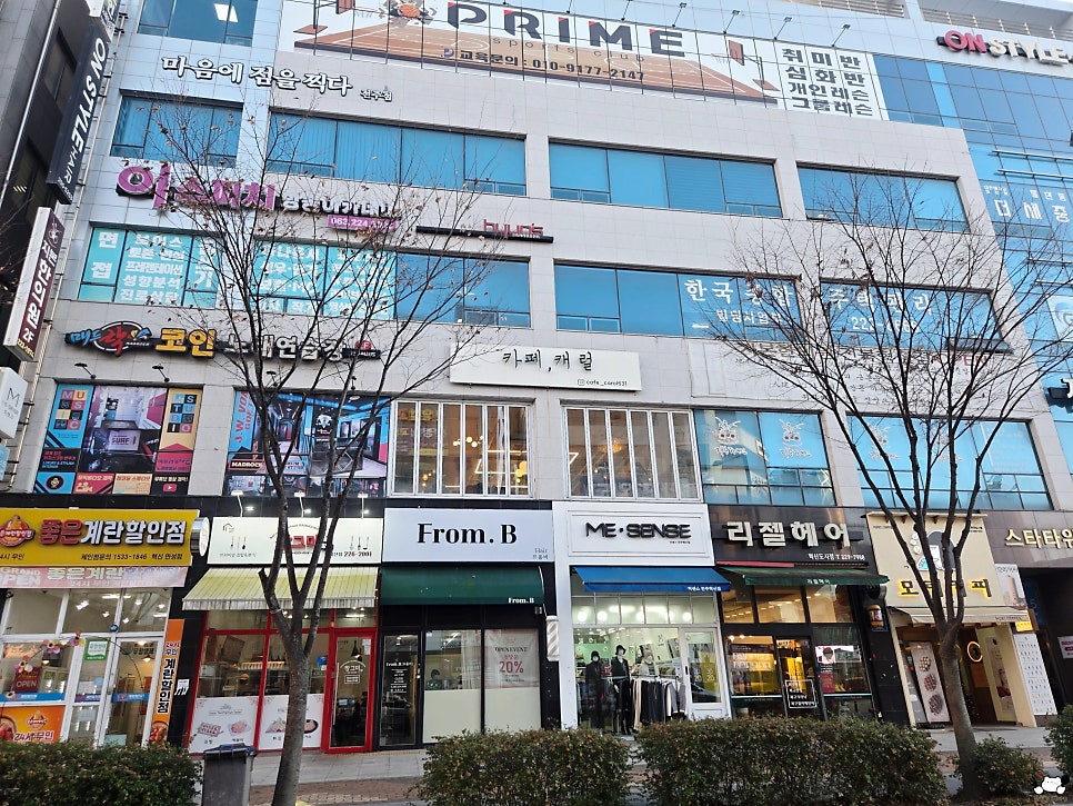 카페캐럴 사진 2