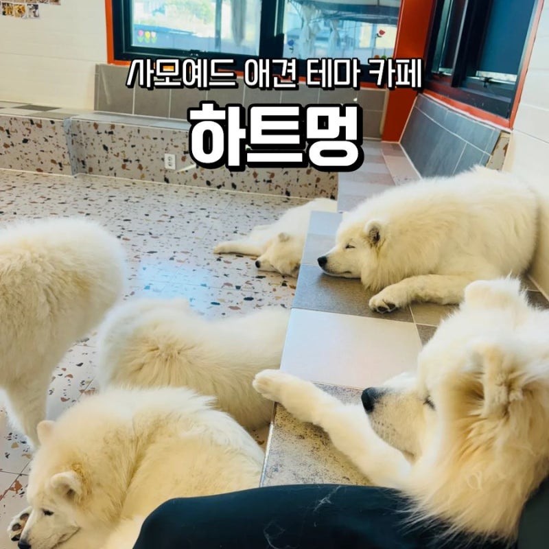 사진 3