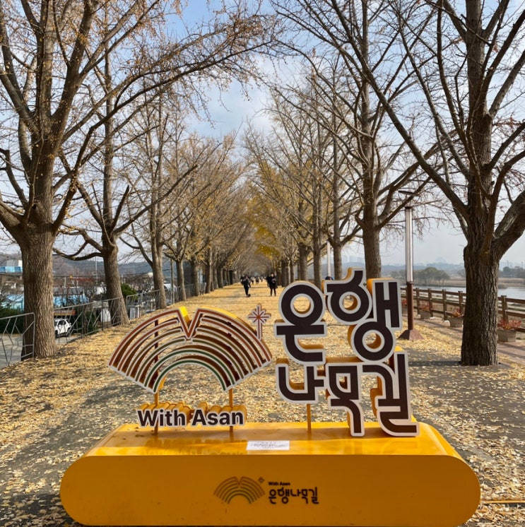 겨울이 성큼 다가온 아산 현충사곡교천은행나무길 / 슬쌍디아빠 이동섭