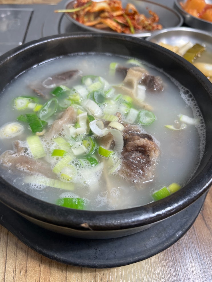  [뚱이보감2] 꼬리치는 법(플러팅)을 배우고 싶다면? 꼬리곰탕(북일곰탕 화요 특별선)