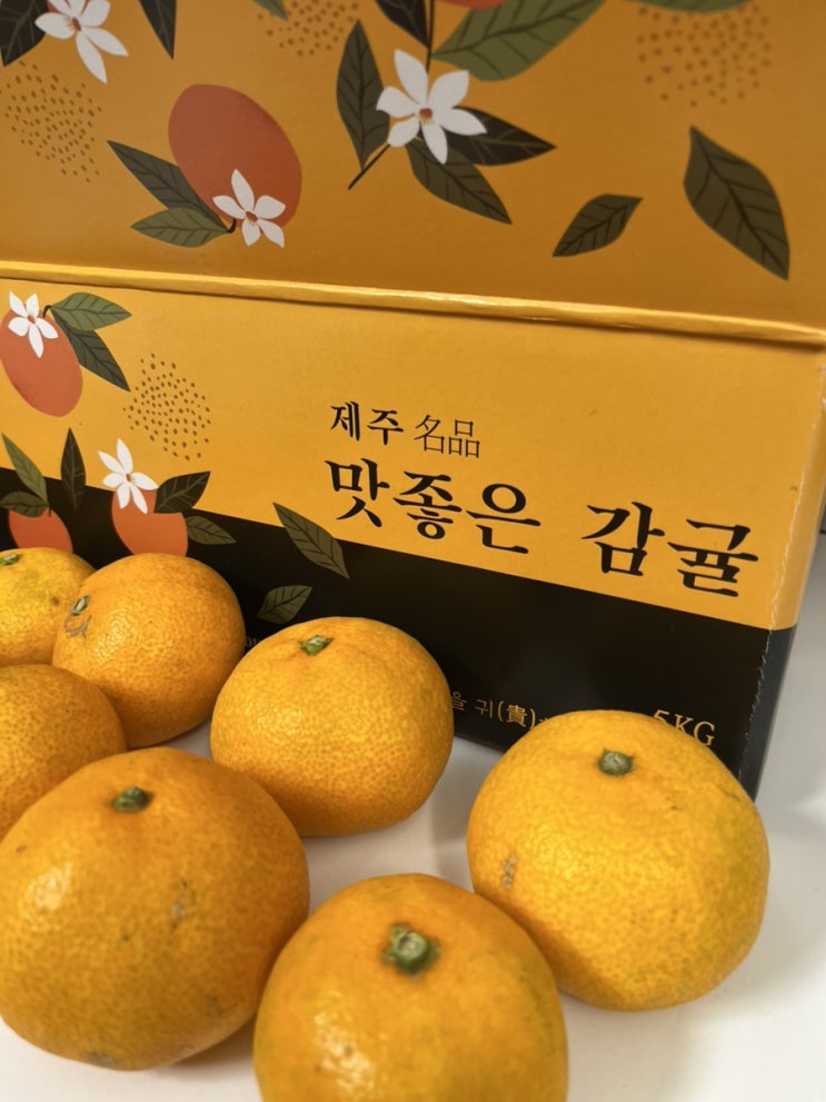  겨울엔 귤이지! 제주 ‘이귤이귤’  먹어본 후기 (아이도 잘 먹는 달콤함)