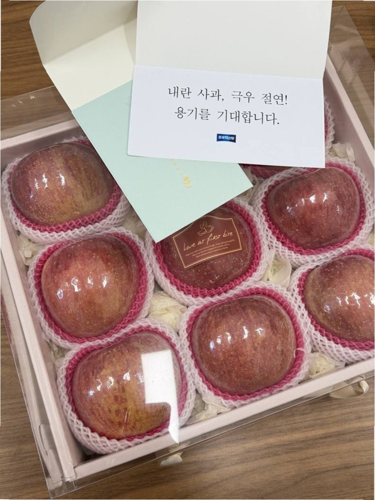 <b>조국혁신당</b>의 '사과 세트' 외교: <b>국민의힘</b>을 향한 메시지는 무엇?