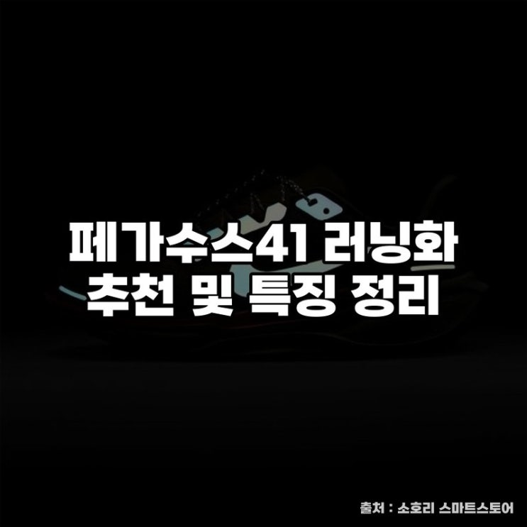  페가수스41 러닝화 추천 및 특징 정리