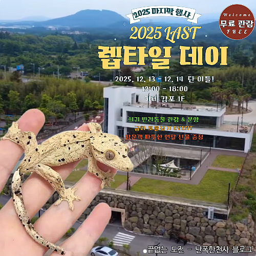제주 렙타일 데이 축제, 12월 13일·14일 행사 일정