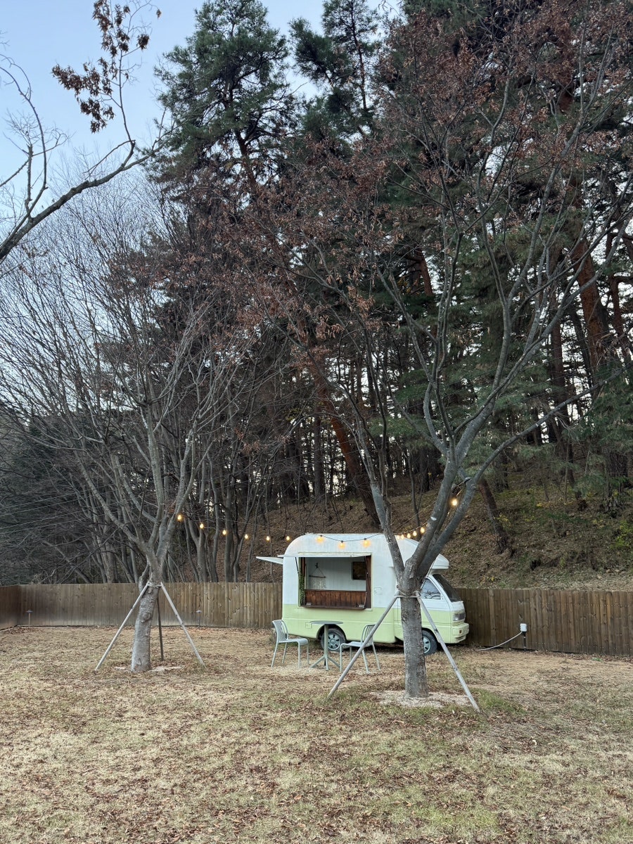네스테이 사진 3