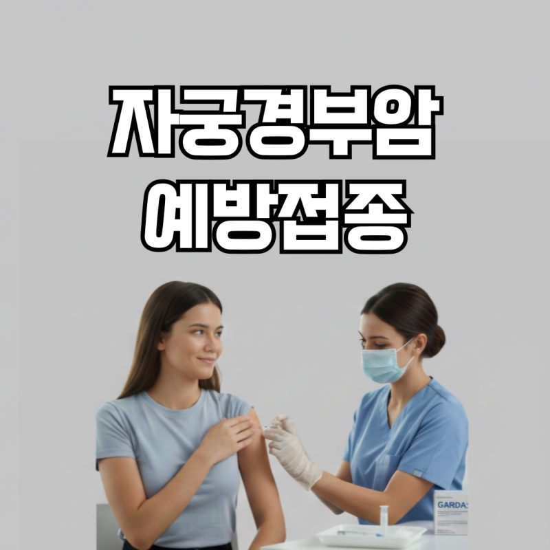 자궁경부암 예방접종 종류별 가격, 접종 나이, 남성 접종 그리고 무료 대상자 총정리