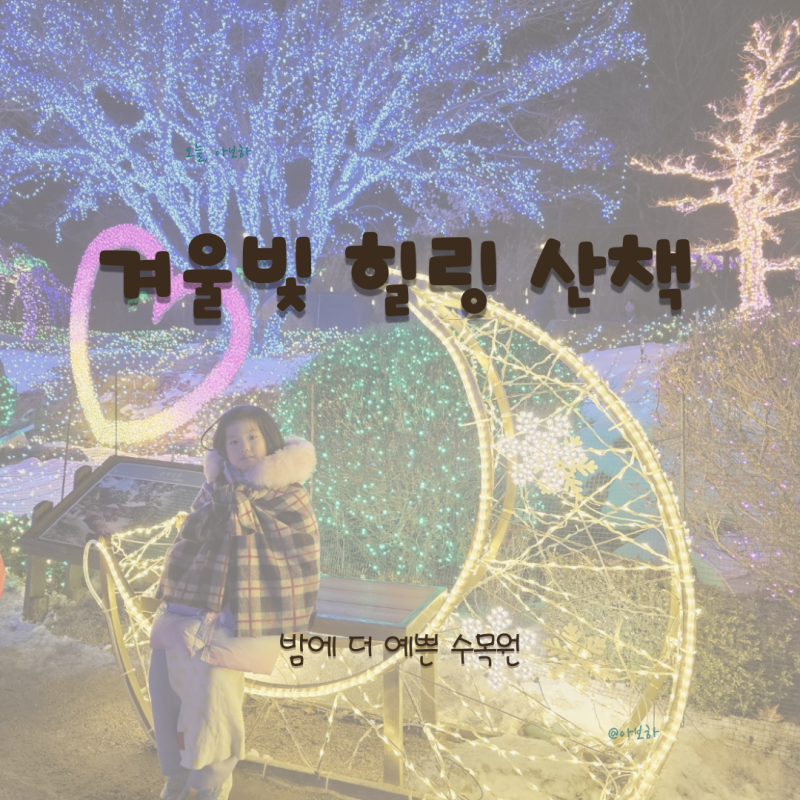 [가평 1박2일] 겨울에도 가능한 현실 루트｜동물원 + 수목원 야경 아이와 완성 코스