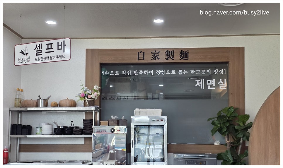 천년칼제비 사진 6