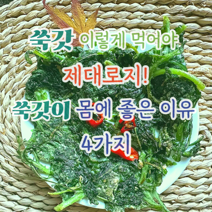  쑥갓 100배 맛있게 먹는 법 바삭한 쑥갓전 만드는 법·효능 총정리
