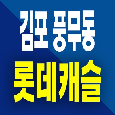  김포 풍무역 롯데캐슬 아파트 분양가 풍무동 골드라인 미분양 공급정보