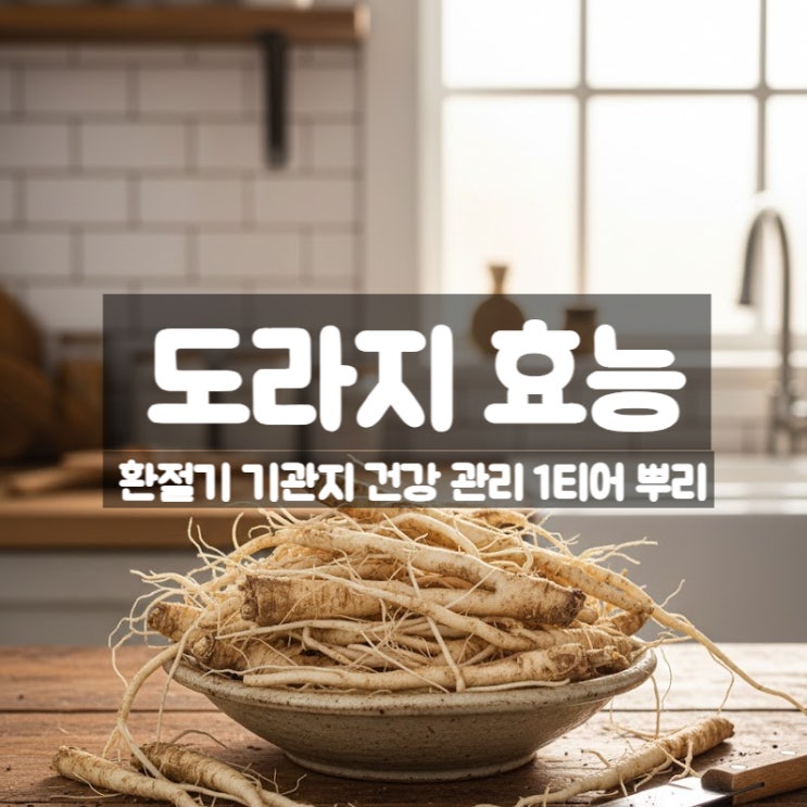  도라지 효능 부작용 먹는법 – 겨울철 기관지 살리는 도라지차