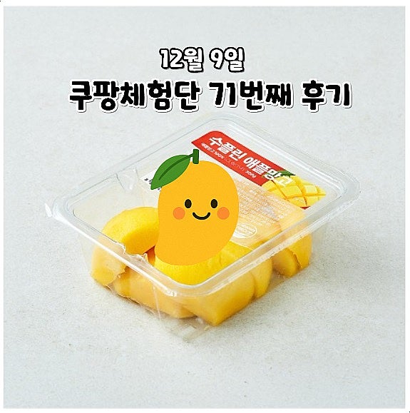  쿠팡체험단 71번째 후기 4번연속 프레시 체험단 선정