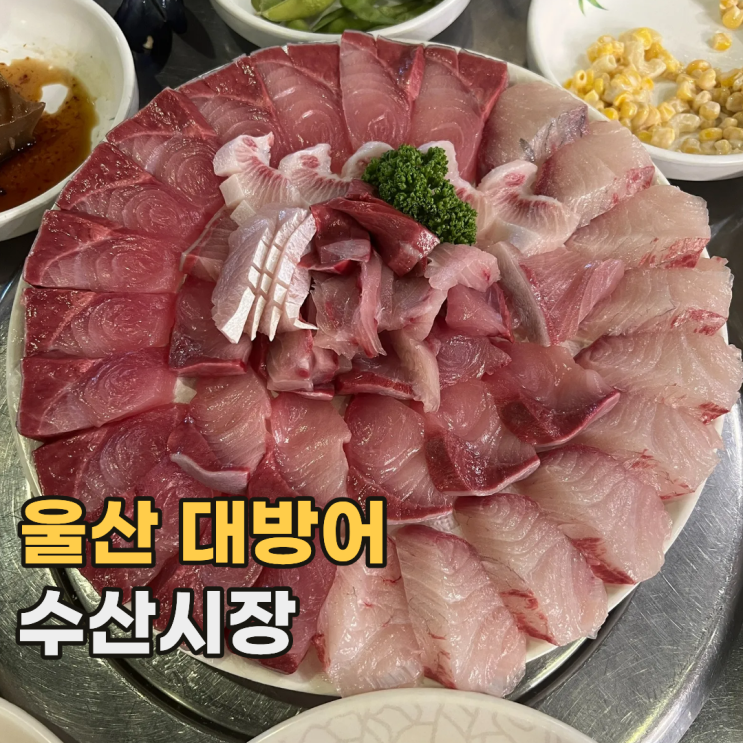  울산 수산시장 평일에도 웨이팅 필수인 삼산동 대방어 맛집