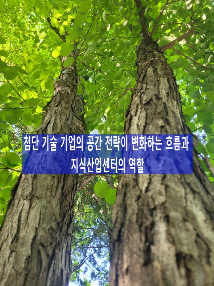  첨단 기술 기업의 공간 전략이 변화하는 흐름과 지식산업센터의 역할, 중소기업전략기술로드맵