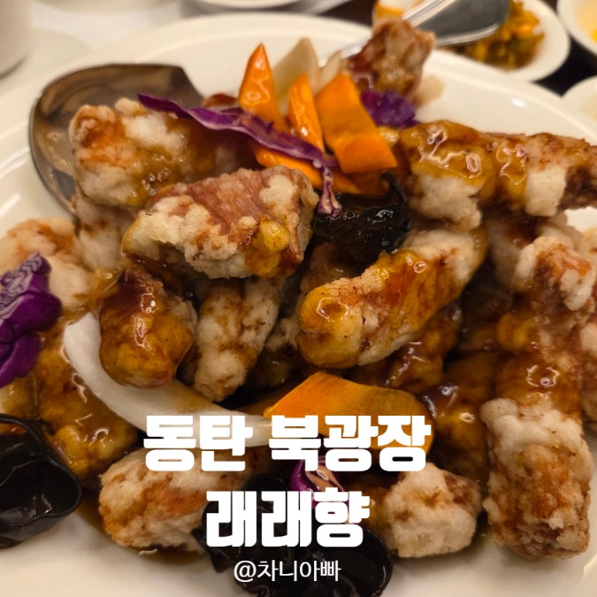  동탄 북광장 모임 장소로 좋은 맛집 래래향 내돈내산 방문 후기