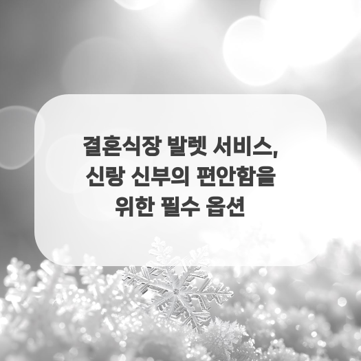  결혼식장 발렛 서비스, 신랑 신부의 편안함을 위한 필수 옵션