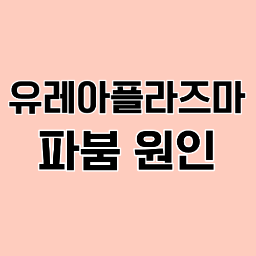 유레아 플라즈마 파붐 균 성병 질염 원인 증상 치료방법