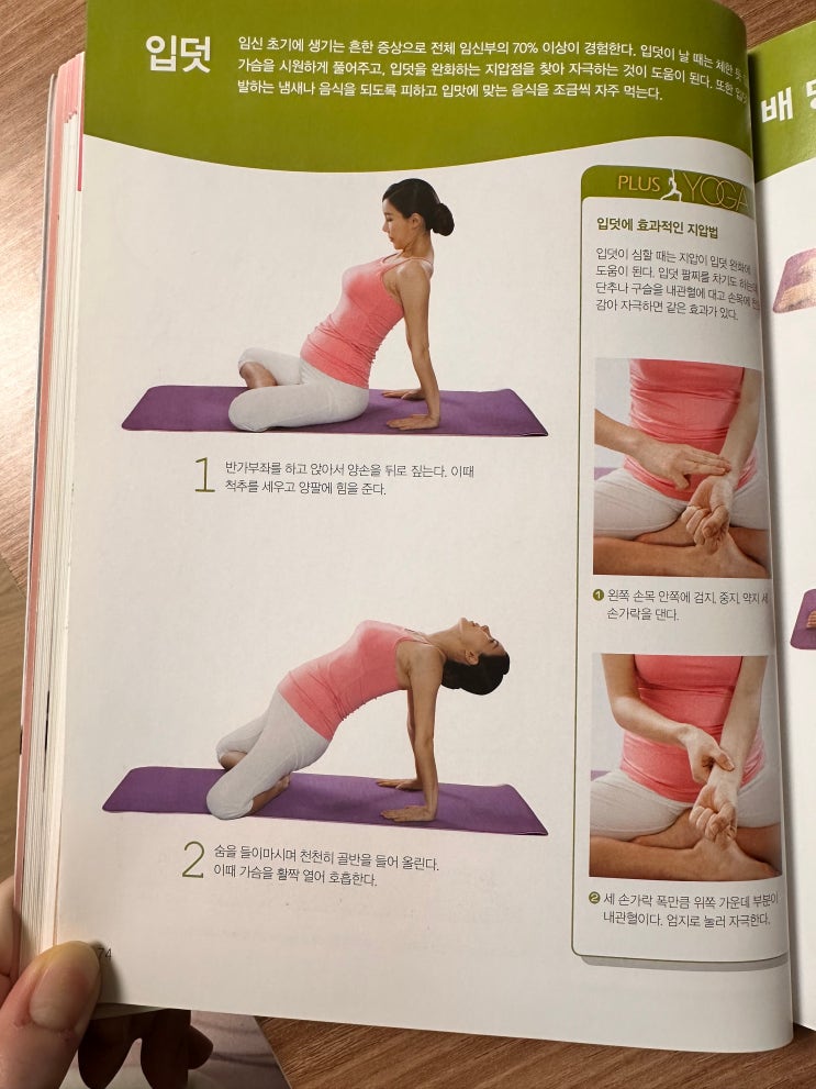  임산부 요가 동작 모음zip(초기 중기 후기)-요통 소화불량 두통 불면증 입덧완화에 도움되는 자세 운동 요가