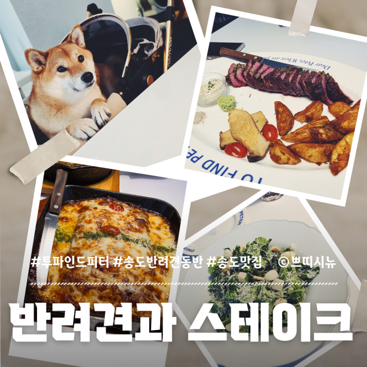  애견동반 스테이크 맛집 송도 '투파인드피터' 합리적인 가격 내돈내먹 후기