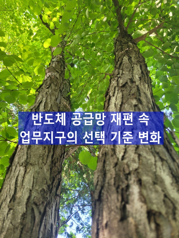  반도체 공급망 재편 속 업무지구의 선택 기준 변화, 중소기업전략기술로드맵