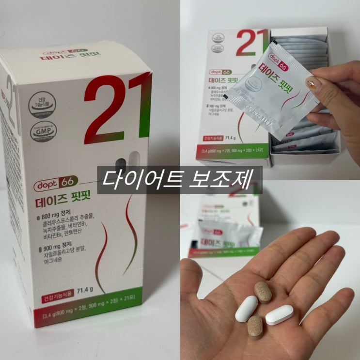  단기간 다이어트 데이즈핏핏 보조제 추천