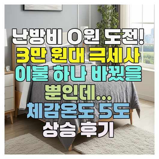  난방비 0원 도전! 3만 원대 극세사 이불 하나 바꿨을 뿐인데... 체감온도 5도 상승 후기