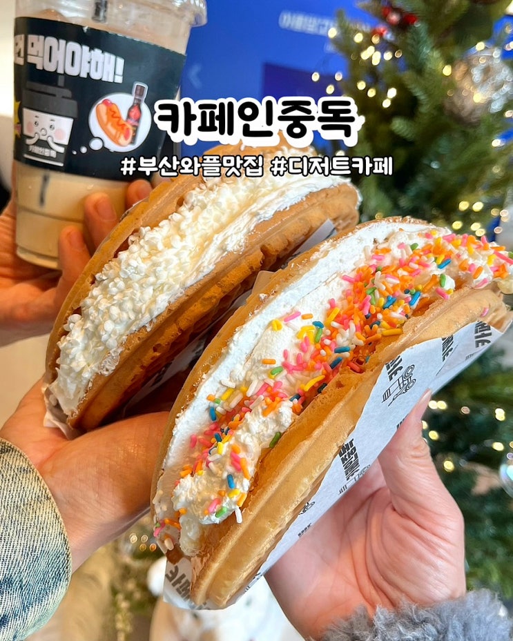  부산 와플맛집 카페인중독 부산서면점 메뉴 햅쌀와플 숙성우유 카페라떼 가격 디저트카페 포장 후기