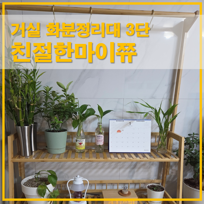  거실 화분정리대 3단 원목 화분선반 행거형 친절한마이쮸
