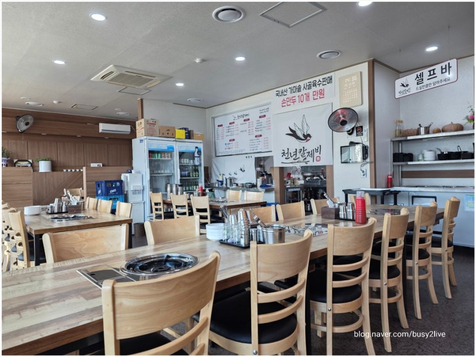 천년칼제비 사진 1