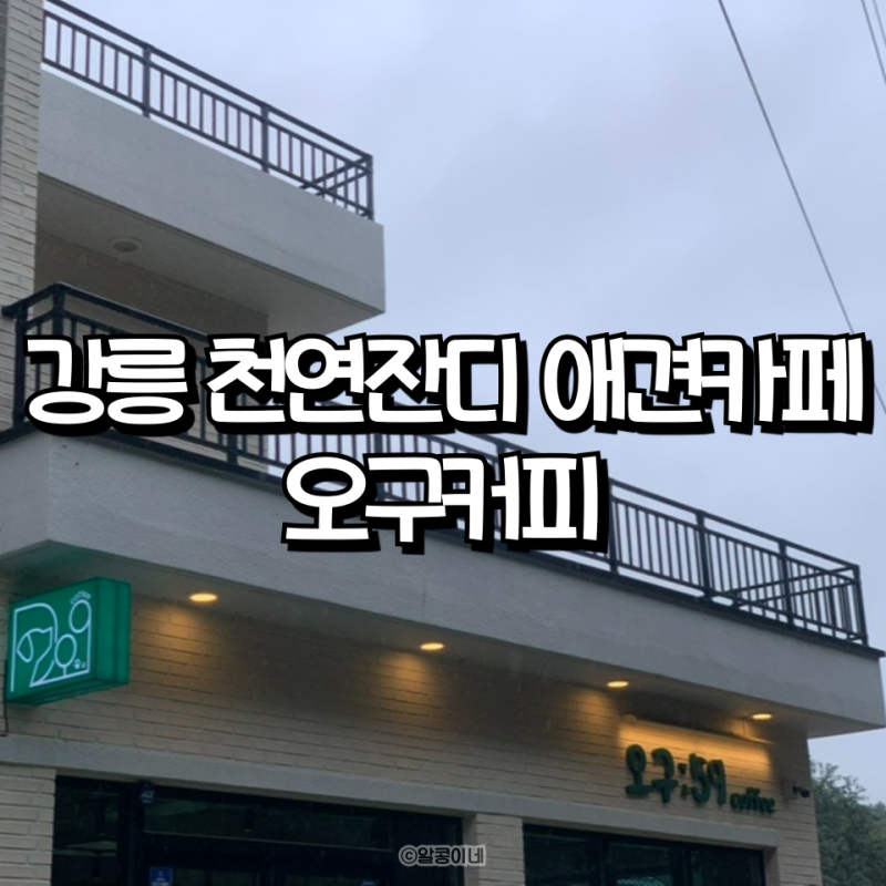 오구커피