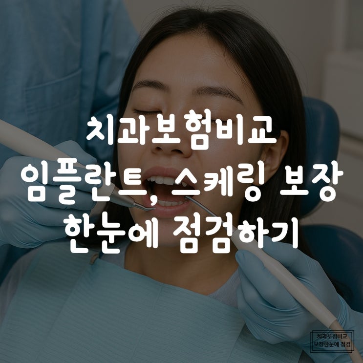  치과보험비교 통해 임플란트 스케일링 보장 한눈에 점검하기