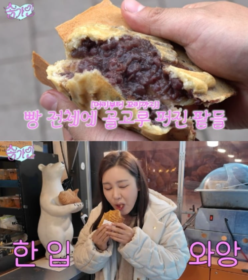 “<b>붕어빵</b>이 12,000원?” <b>송가인</b>, 강남 <b>붕어빵 가격</b>에 경악... 