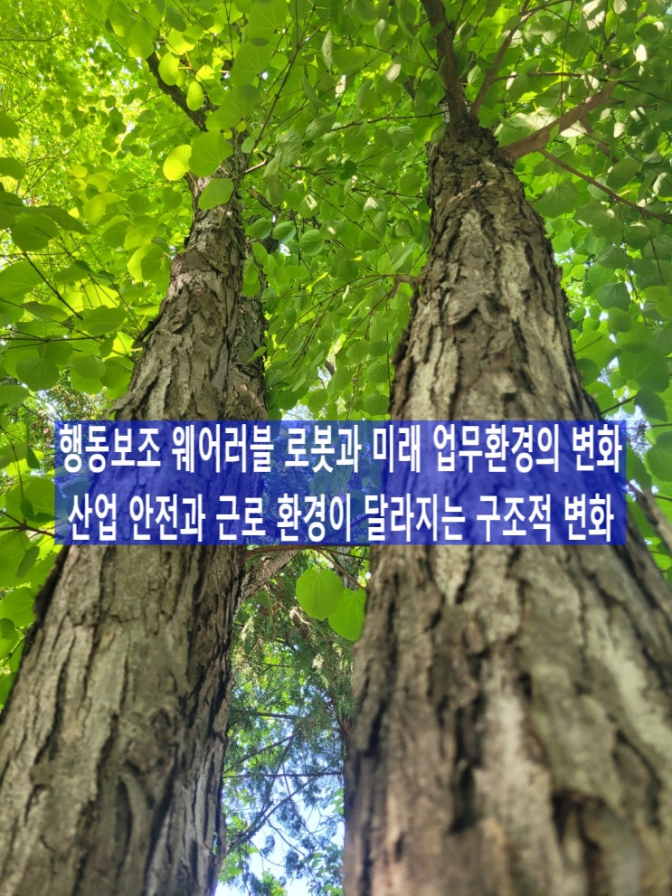 행동보조 웨어러블 로봇과 미래 업무환경의 변화, 산업 안전과 근로 환경이 달라지는 구조적 변화