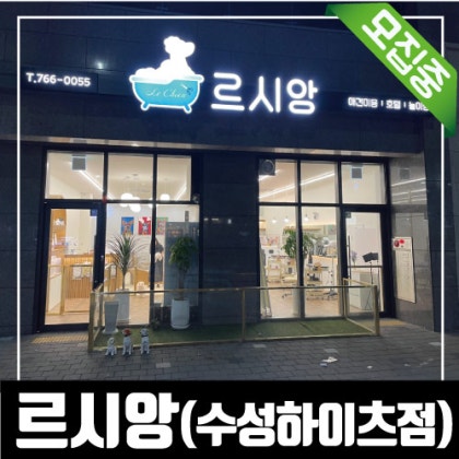 <모집>수성구 강아지목욕 체험