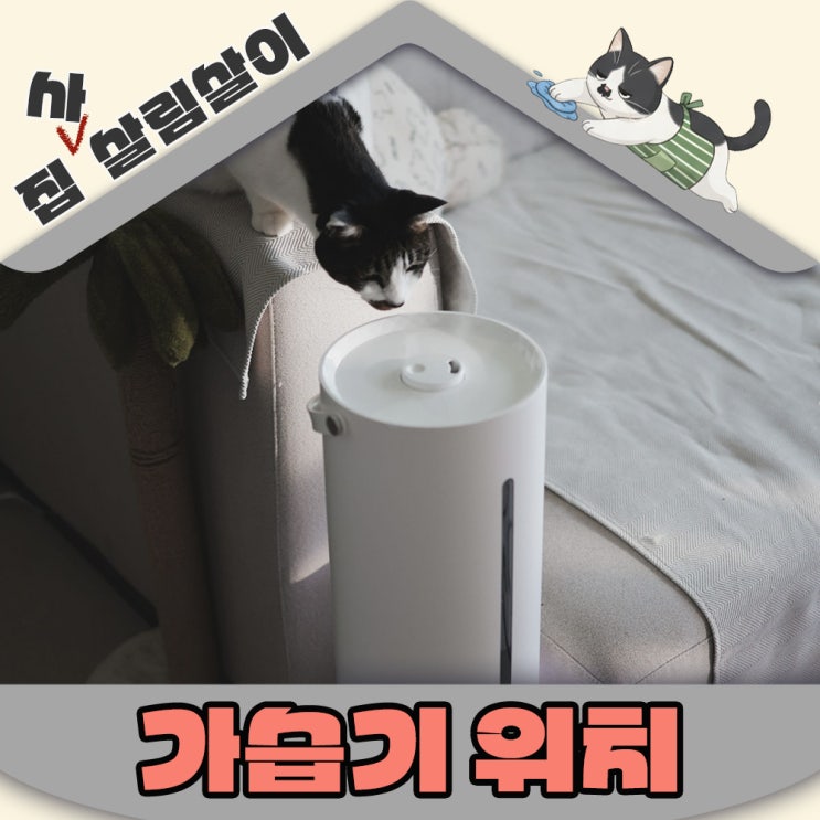 고양이 반려가정 가습기위치 피해야할곳 TOP5