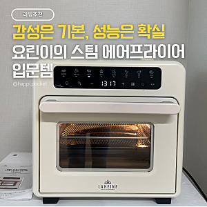 오븐형 대용량 스팀 에어프라이어  라헨느 더 퀸 스테인리스 내돈내산 추천