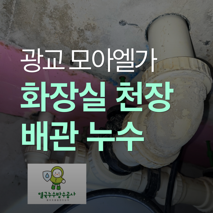  수원 화장실 천장누수 유가 하수배관에서 새는 문제 테스트 및 해결