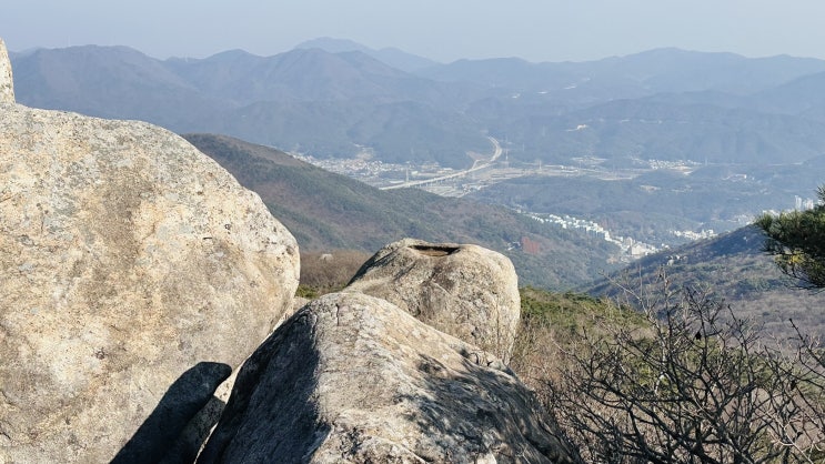  체지방 20% 프로젝트 : 솔연의 건강 다이어리_11주차 기록