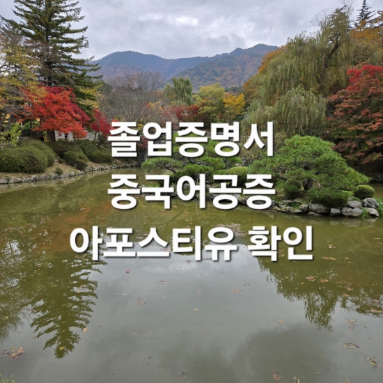  졸업증명서 중국어 공증 및 아포스티유 확인
