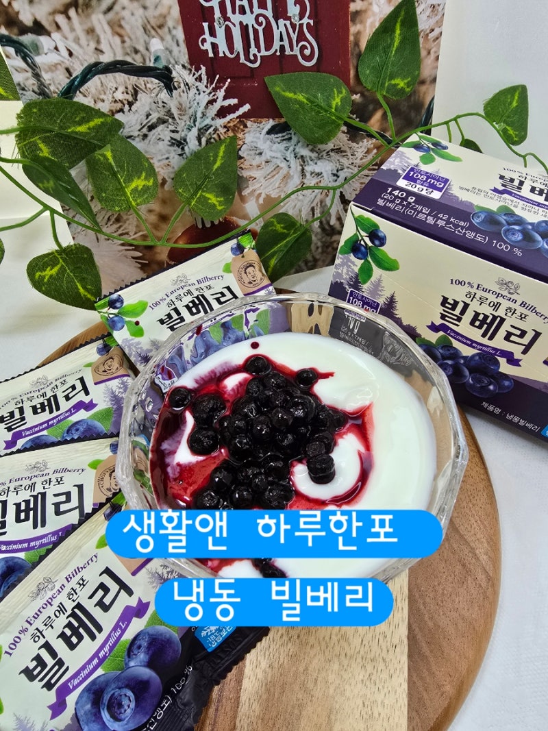 생활앤 하루한포 냉동 빌베리 요거트스무디 레시피