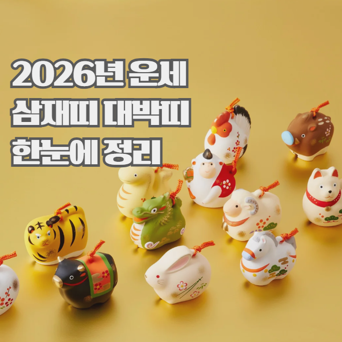  2026년 삼재띠 대박띠 총정리, 올해 운세 흐름 한눈에 보기