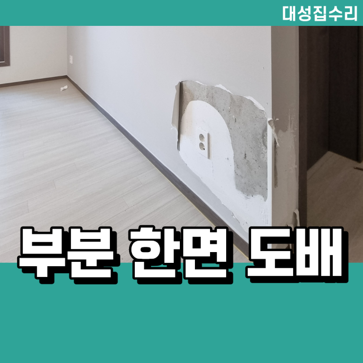  강아지 긁고 뜯어 찢긴 벽지 보수 도배