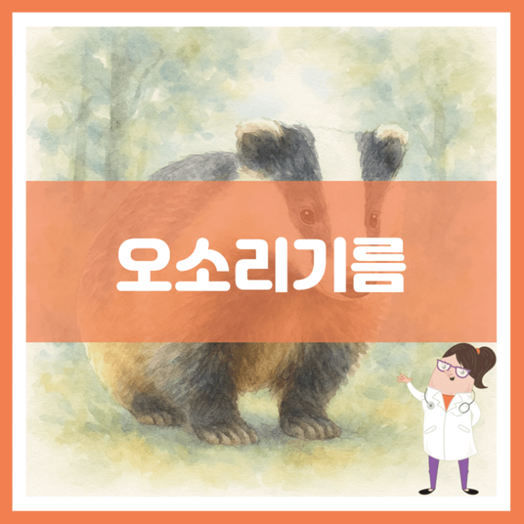  오소리기름 효능 섭취방법 부작용