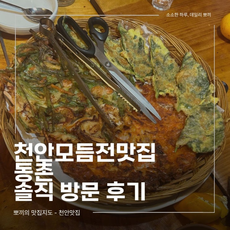  천안모듬전맛집 동촌, 친구들이랑 가기 좋은 딱 좋은 전집 솔직 후기