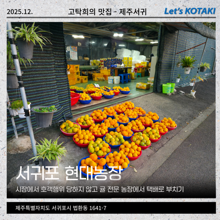  제주월드컵경기장 현대농장 귤 5KG 택배 내돈내산 후기