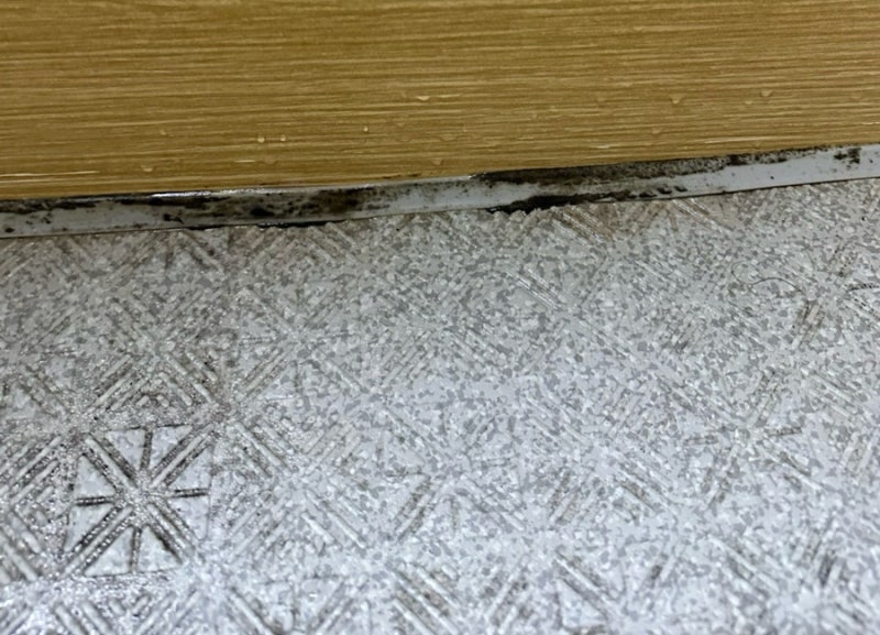 한샘 화장실 락스 사용해도 될까요? 휴플로어 곰팡이 제거