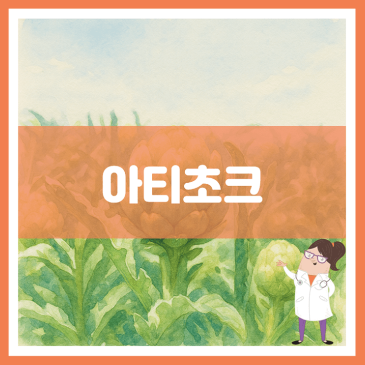  아티초크 효능 영양성분 부작용