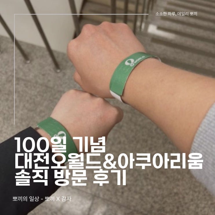  100일 기념 데이트, 대전오월드 & 대전아쿠아리움 솔직 후기